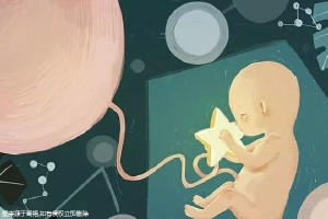 靠谱代怀包成功生殖中心